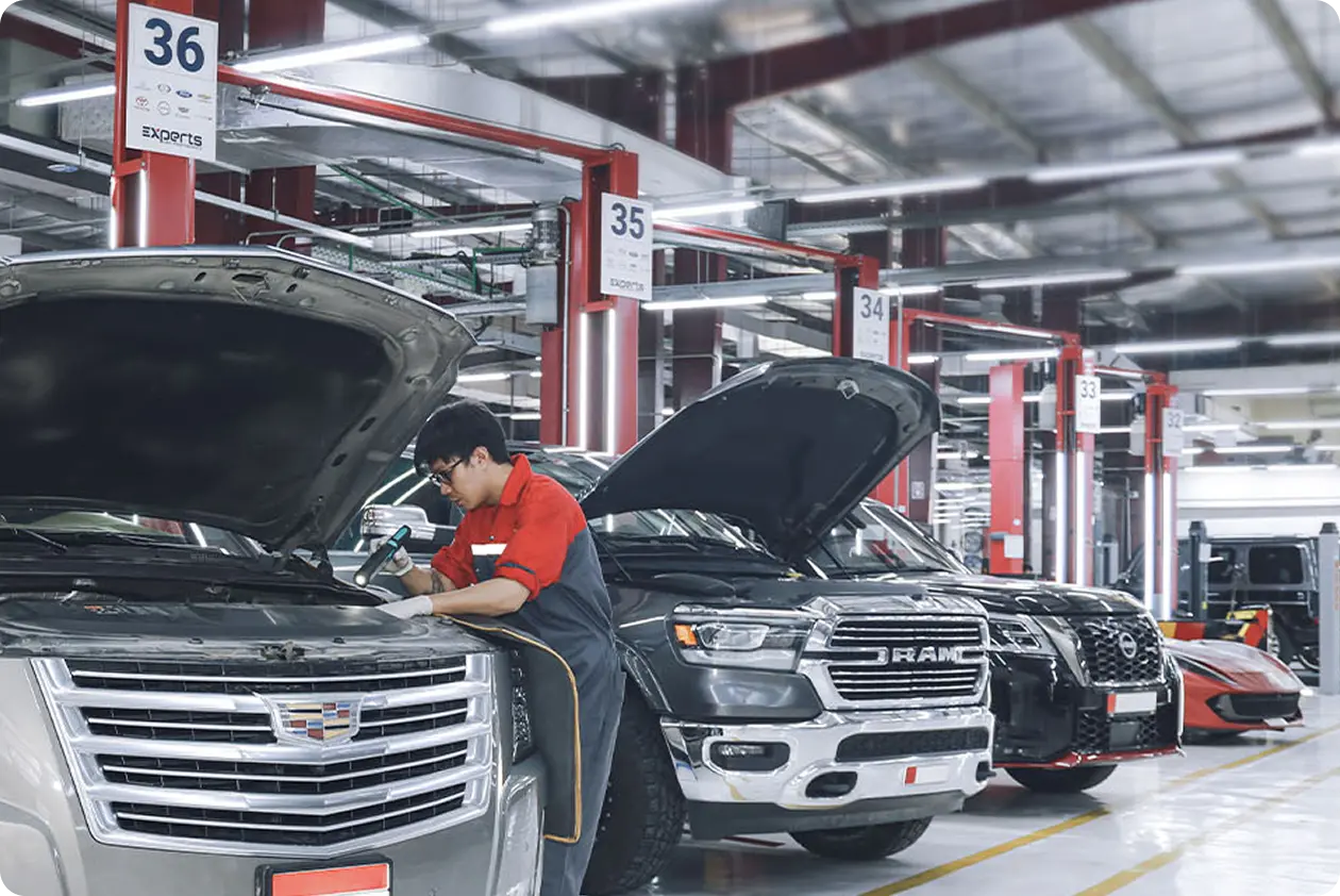 Optimization and Excellence