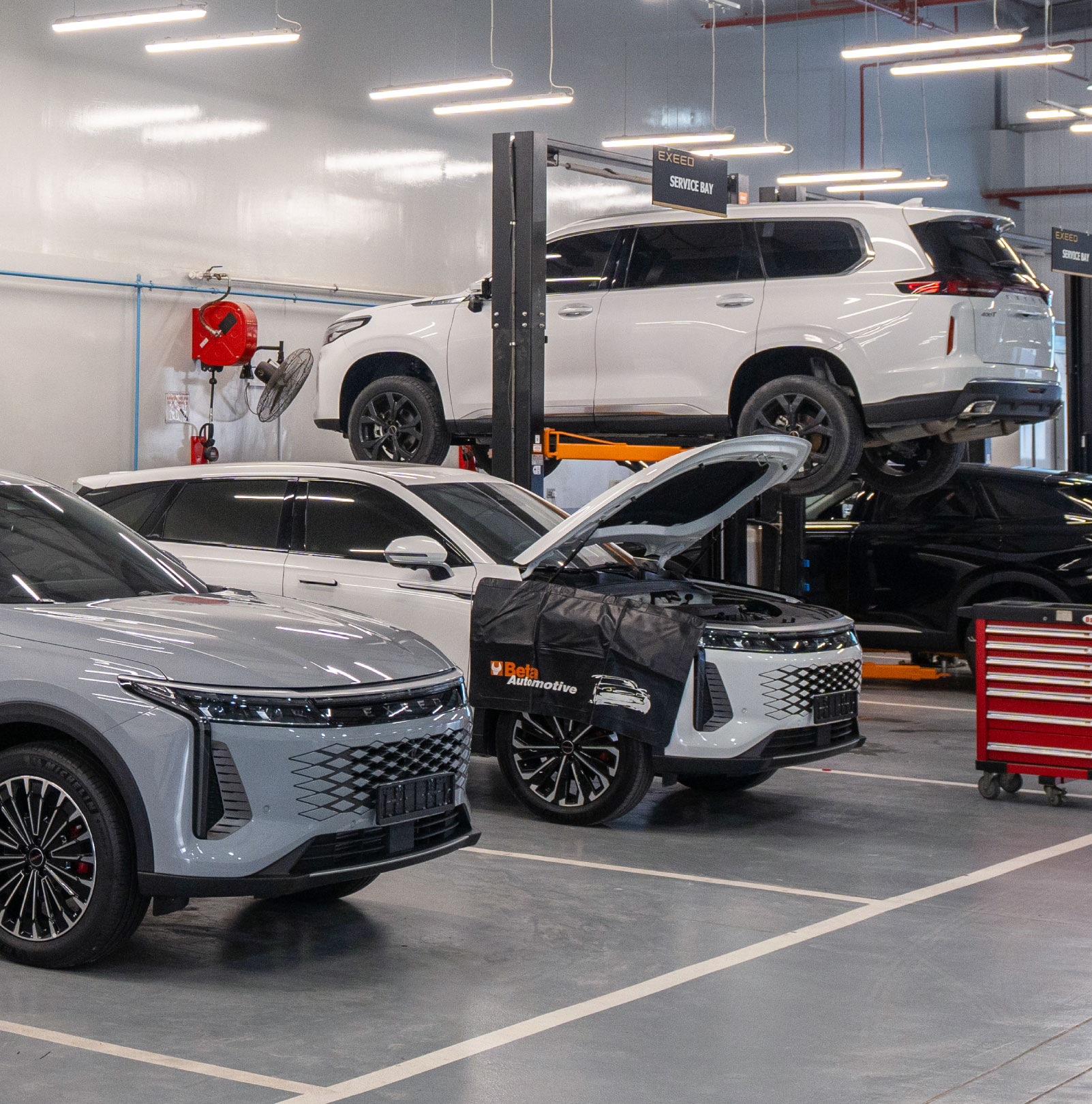 Optimization and Excellence