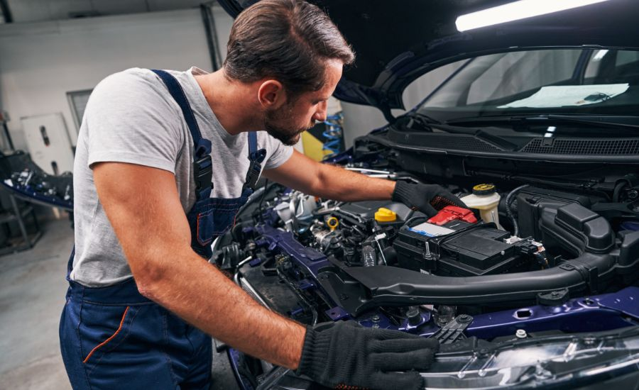 Optimization and Excellence