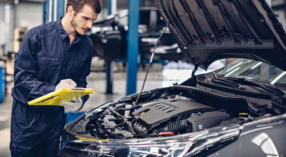 Optimization and Excellence